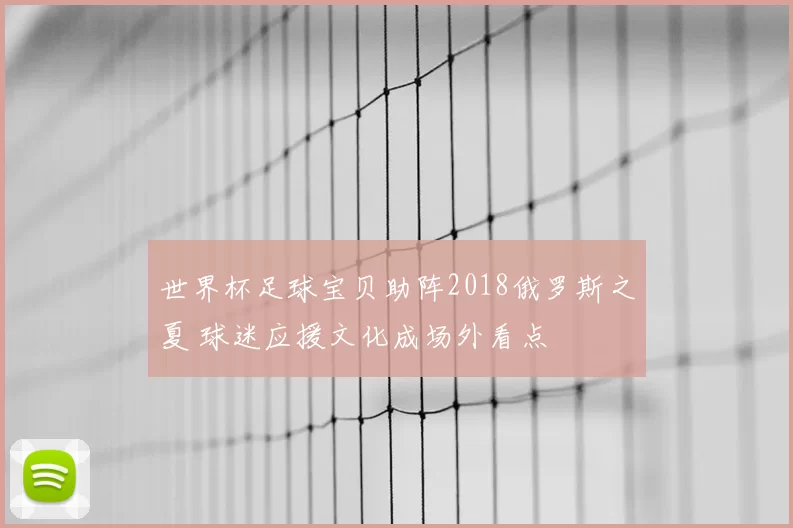 世界杯足球宝贝助阵2018俄罗斯之夏 球迷应援文化成场外看点