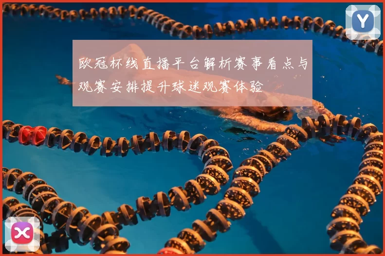 欧冠杯线直播平台解析赛事看点与观赛安排提升球迷观赛体验